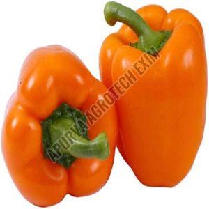 Organic Fresh Orange Capsicum for Cooking