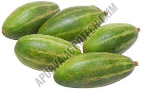 Organic Fresh Parwal, Color : Green for Cooking