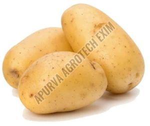 Organic Fresh Potato, Color : Brown for Cooking