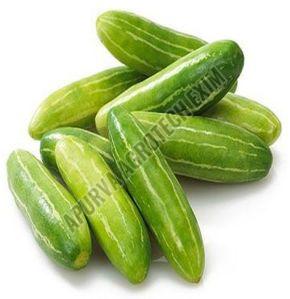 Organic Fresh Tindora, Color : Green for Cooking