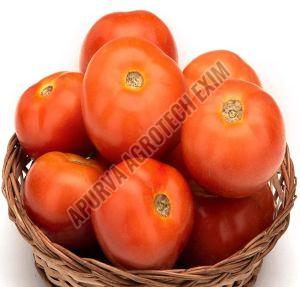 Fresh Tomato, Color : Red for Cooking