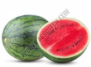 Organic Fresh Watermelon, Color : Green, Taste : Sweet