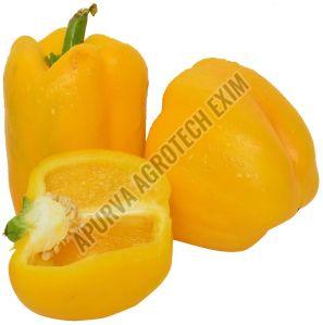 Fresh Yellow Capsicum for Cooking