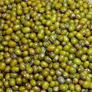 Organic Green Moong Beans for Cooking