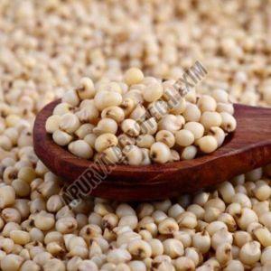 Jowar Seeds Dried, Packaging Type : PP Bag for Food Processing