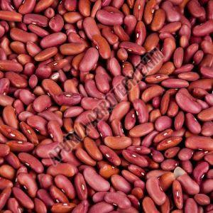 Organic Red Kidney Beans, Certification : FSSAI Certified