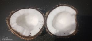 Coconut Milk, Color : White, Form : Liquid for Cooking