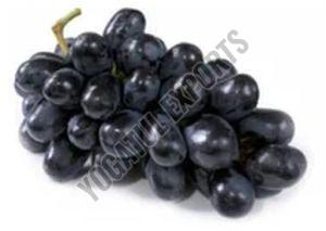 Seedless Black Grapes, Packaging Type : Carton For Human Consumption