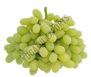 Seedless Green Grapes