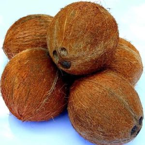 Natural Fully Husked Hard Raw Coconut, Color : Brown, Form : Solid