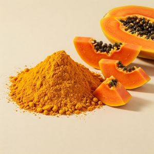 RLRP Papaya Powder, Color : Pale Yellow, Packaging Type : Packet