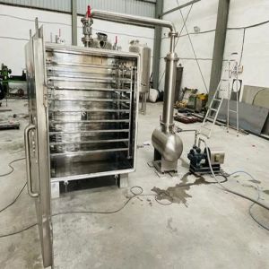 Pharma Vacuum Tray Dryer