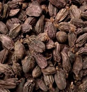 Black Cardamom