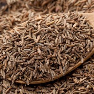 Organic Caraway Seeds, Color : Brown, Grade Standard : Food Grade