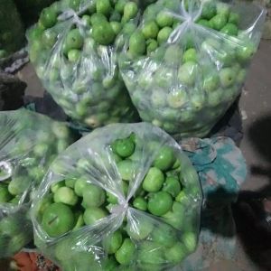 Natural Fresh Tinda, Color : Green, Certification : FSSAI Certified