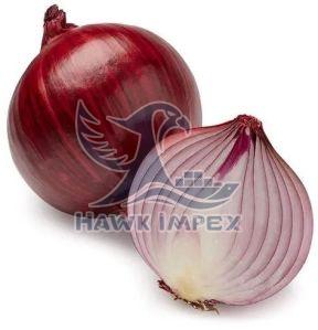 Organic Fresh Red Onion, Packaging Size : 5-25kg For Cooking