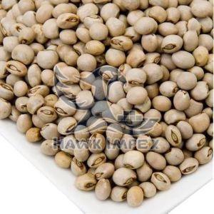 Soft Pigeon Pea Seeds, Seed Type : Hybrid