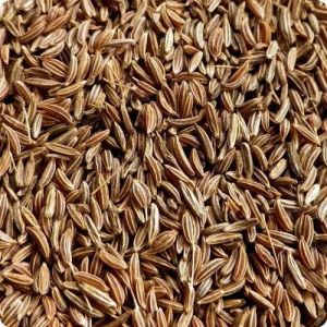 Reva Organic Guar Seeds, Color : Natural, Black