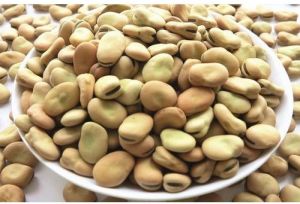 Fava Beans, Color : Light Green, Packaging Size : 25-50kg