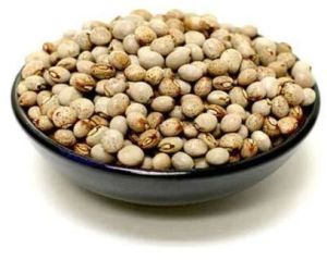 Soft Pigeon Pea Seeds 16%, Packaging Size : 25-50kg