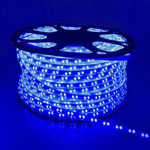 Blue Led Rope Light