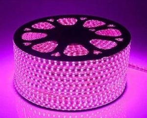 Crompton 50Hz Electric Pink LED Rope Light, Power Type : AC