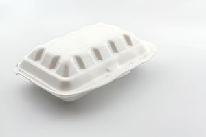 Bagasse Clamshell Box