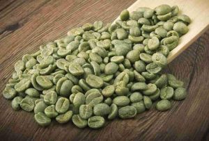 Green Arabica Coffee Bean