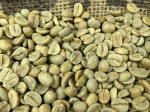 Robusta Green Coffee Beans