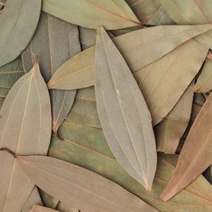 Organic bay leaf Food Grade for Cooking, Spices