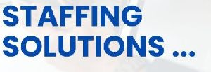Staffing Solutions Company by Decent Payroll