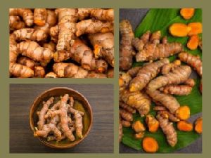 turmeric