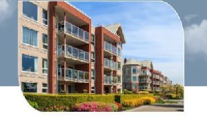 Property Development