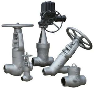 Forged Stainless Steel Globe Valve