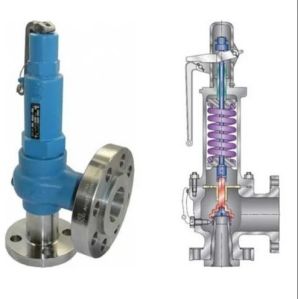 Pressure Safety Valve