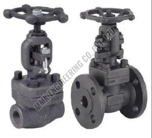 Forged Steel Globe Valve Class 800  Valve