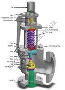 Spring Loaded Safety Valve