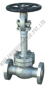 Stainless Steel Cryogenic Globe Valve