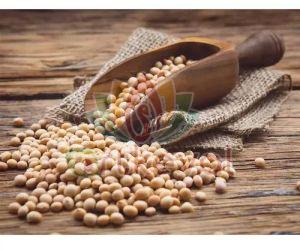 Artkevel 1kg Dry Soybean Seeds For Human Consumption