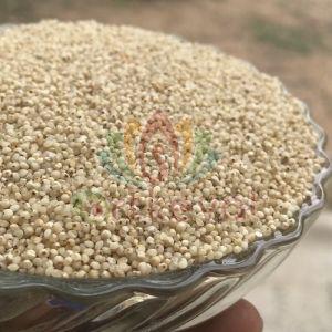 Barnyard Millet Seeds For Human Consumption