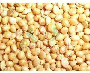 Proso Millet Seeds For Cooking