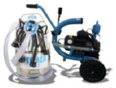 Delmer Italian Milking Machine(SS)