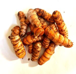 fresh turmeric