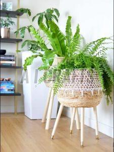 Charming Rattan Plant Stand