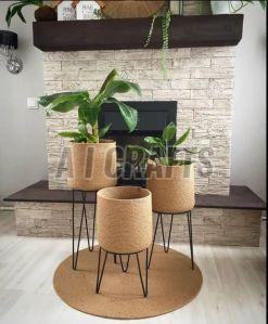 Natural Plant Hanging