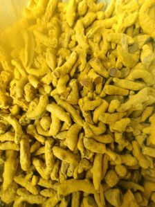 Organic Turmeric Finger, Color : Yellow, Grade Standard : Food Grade