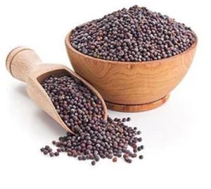 Brown Mustard Seeds