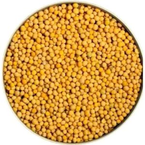 Mustard Seeds