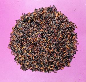 Black Rice