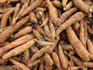 Fresh Cassava, Variety Available : Sweet Potatoes